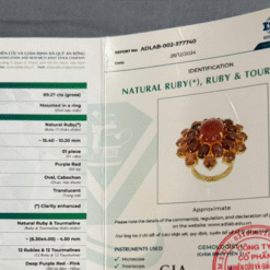 Giấy kiểm định ENRB-17