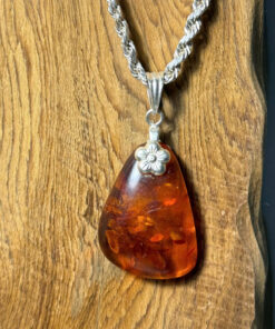 HỔ PHÁCH HUYẾT HOA TYM