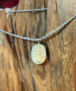 CHIM CÔNG KHAI MINH