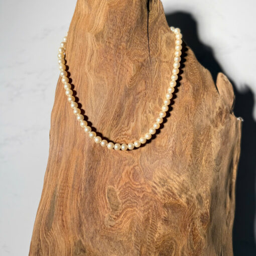 z6667825163738_08be24ee5aab5893a3be81383f055e92