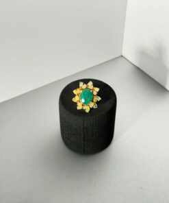 TÂM NGỌC HOÀNG VÂN