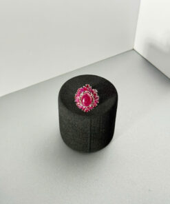 Ánh Lửa Hồng – Bản Lĩnh và Quyền Uy