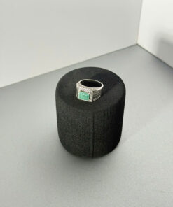 Trấn Tâm Lục Bảo