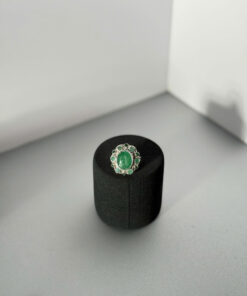 Vương Tâm Ngọc Lục