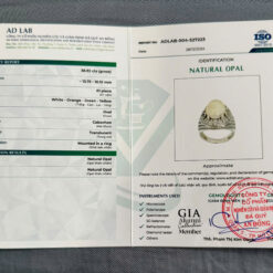 z6684564023443_86cfdf75b9b3770c1e465d1b06024082