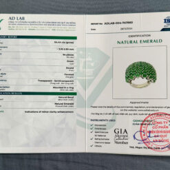 z6684564089090_43d4c7732c9be35928fa5edd03a57809