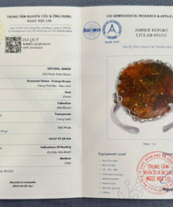 Hộ Tâm – Ngọn Lửa Bất Diệt