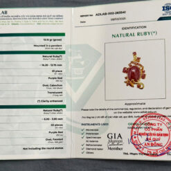 z6684564218561_1754ec84ee1cd4b40f9065c4f293939e