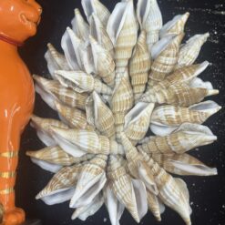 z6812326816823_b2533a38a87b00599d55e22f2f59bf0c