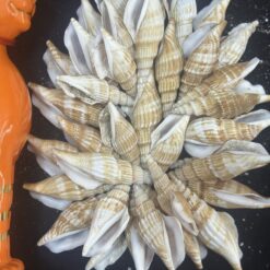 z6812326826737_14c4cde2bb0b1f54e1721ffc5ef4a8f5