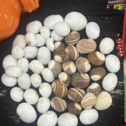 z6812326835485_8eeec57ea44aa83a3e614ead8e3b3706