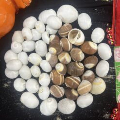 z6812326848753_d7b036c276c3b64dcdbfd1674fa08459