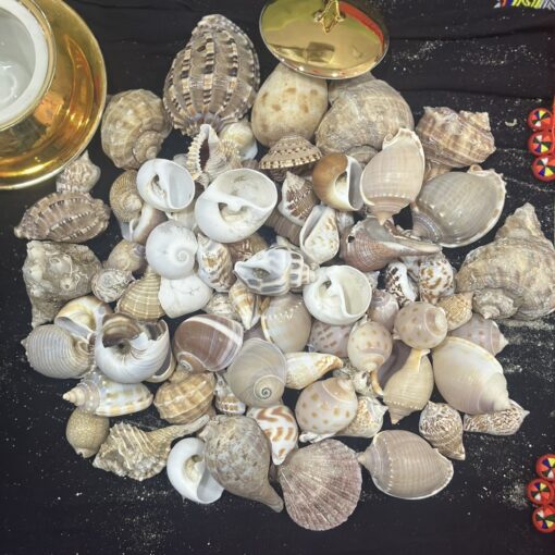 z6812326888789_a126927aaaab0449b61f4b7e94ceb89f