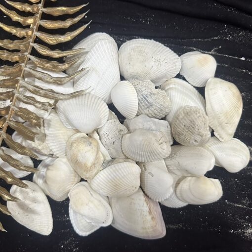 z6812326926205_930c5328f284dc1ee5655c049910303e