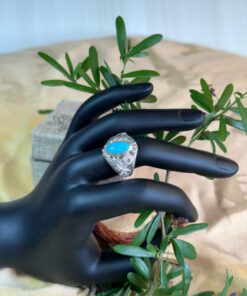 Minh Tâm Kiến Tánh