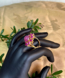 Hồng Ngọc Minh Tâm – Minh Trí, Hộ tâm, Khai sáng nội lực