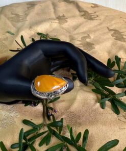 Giọt Nắng Tinh Hoa