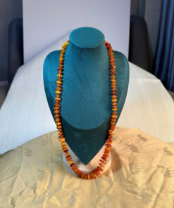 Tinh Hoa Vạn Niên, Linh Khí Bảo Hộ